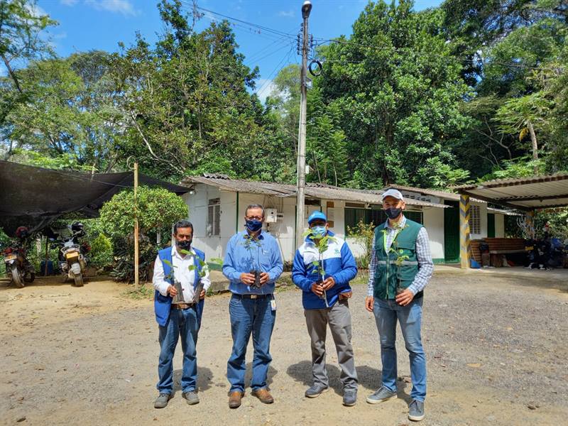 
Como una acción voluntaria ESSA entregó 40 mil árboles a la CDMB para la conservación de los ecosistemas en la región
