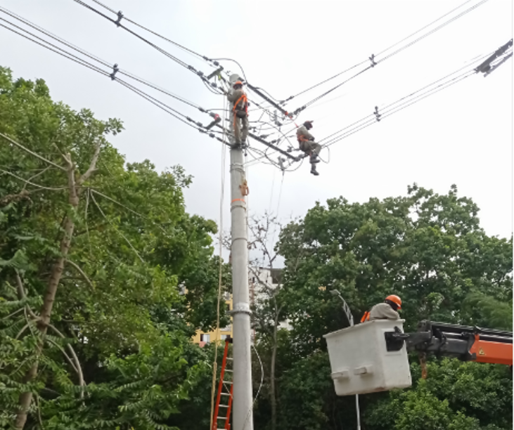 Por colapso de árbol sobre la red de media tensión ESSA atiende emergencia sobre la línea Piedecuesta – Mesa de Los Santos 34,5 kV