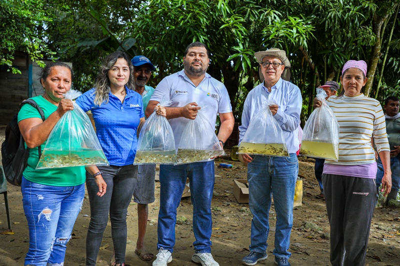 Sembramos 320 mil alevinos en cuerpos hídricos del área de influencia ESSA
