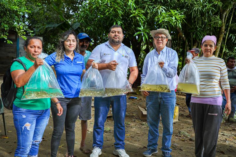 Sembramos 320 mil alevinos en cuerpos hídricos del área de influencia ESSA