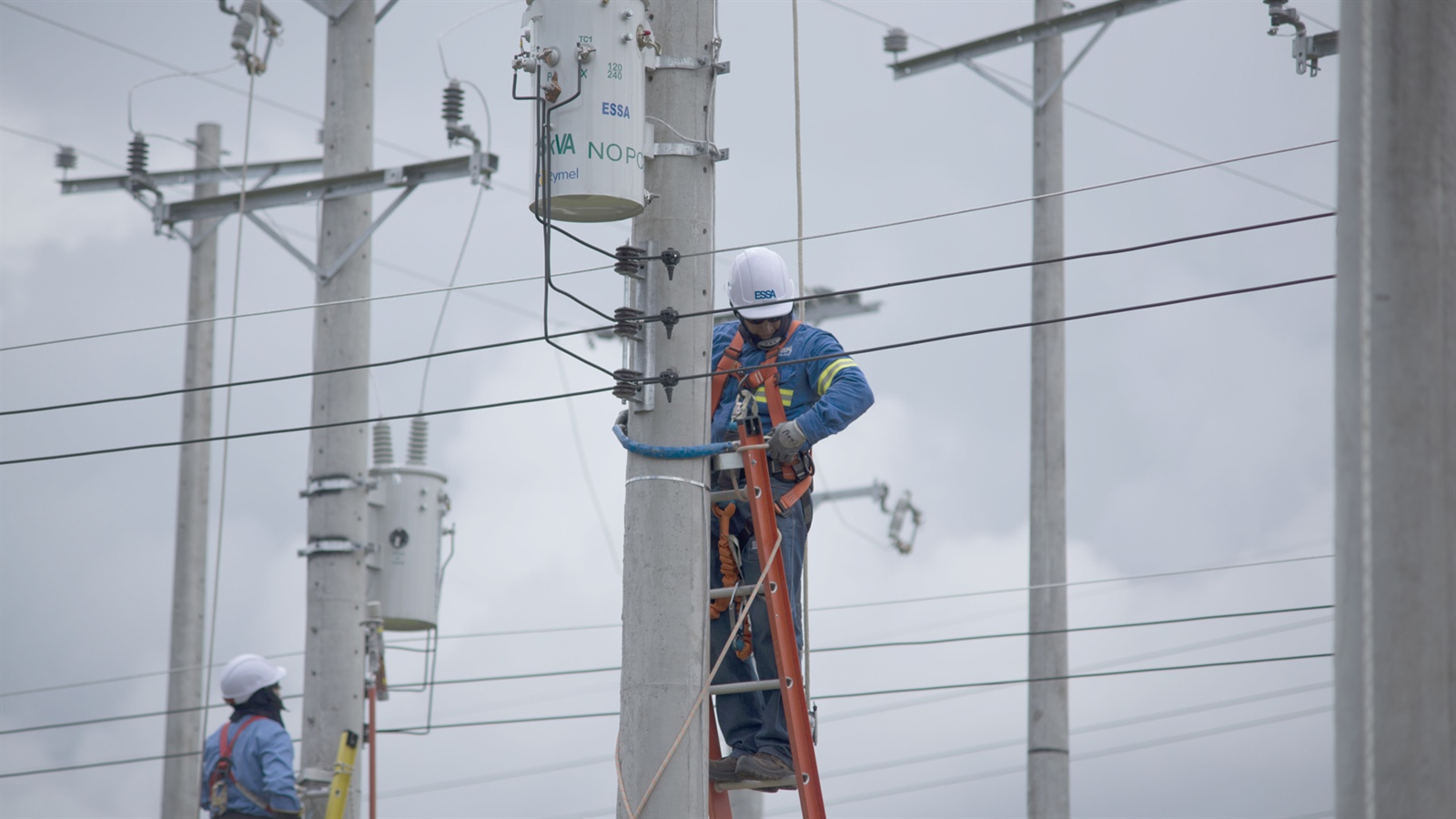 El lunes 20 y el martes 21 de febrero Continúa remodelación de redes eléctricas en  la provincia de Vélez