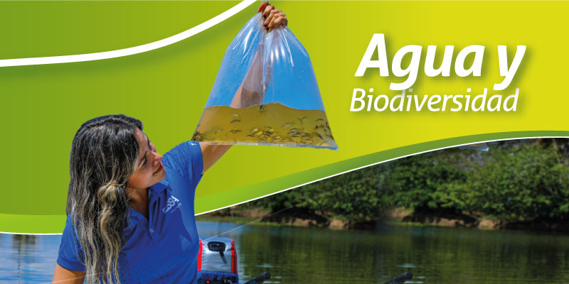 09. Agua y Biodiversidad