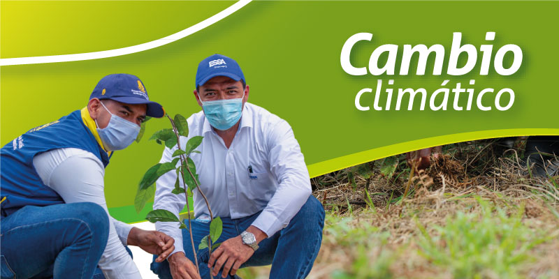 10. Cambio climático
