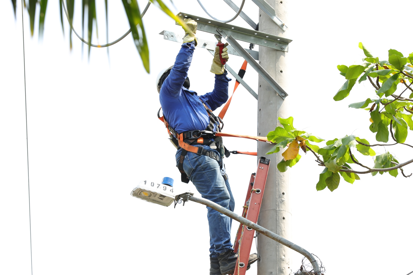 ESSA Avanza en la normalización del servicio de energía en el Corregimiento de El Centro