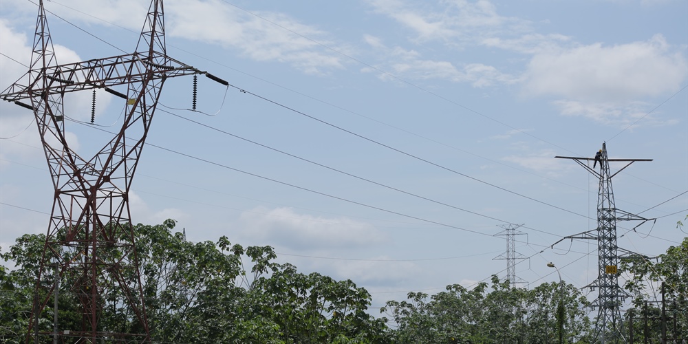 Torres de energía en medio de árboles