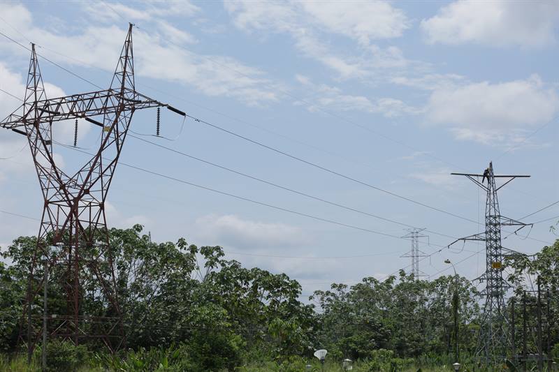 Torres de energía en medio de árboles