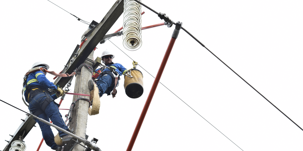 En la imagen se ven dos trabajadores de ESSA realizando labores de mantenimiento en las redes de energía.