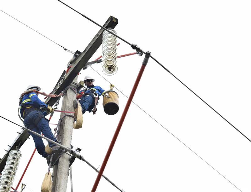 En la imagen se ven dos trabajadores de ESSA realizando labores de mantenimiento en las redes de energía.