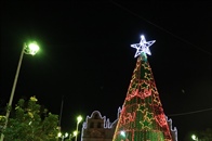 Ganadores concurso  Encendamos la Alegría de la Navidad 2025