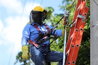 ESSA realizará trabajos de podas en zona rural del municipio de San Alberto