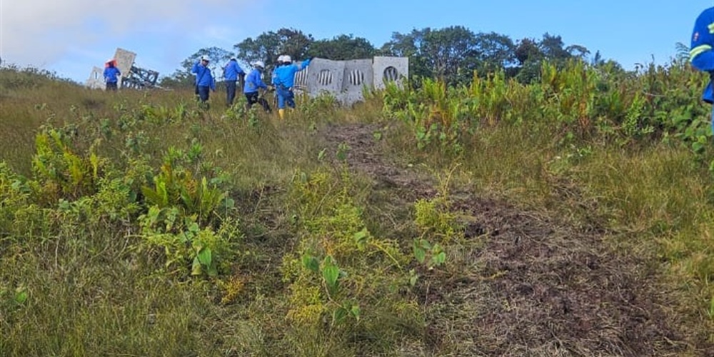 Trabajadores con estructura de torre de energía