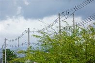 ESSA avanza con labores de mantenimiento preventivo en San Alberto y La Esperanza