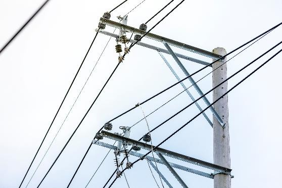 Continúan trabajos de mantenimiento preventivo sobre las redes eléctricas en Puerto Parra