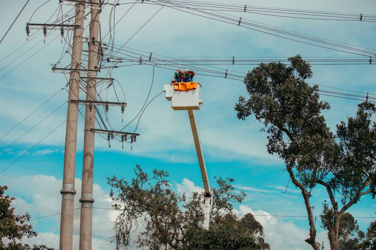 ESSA realizará remodelación de redes eléctricas en Sabana de Torres