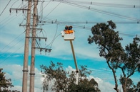 ESSA realizará remodelación de redes eléctricas en Sabana de Torres