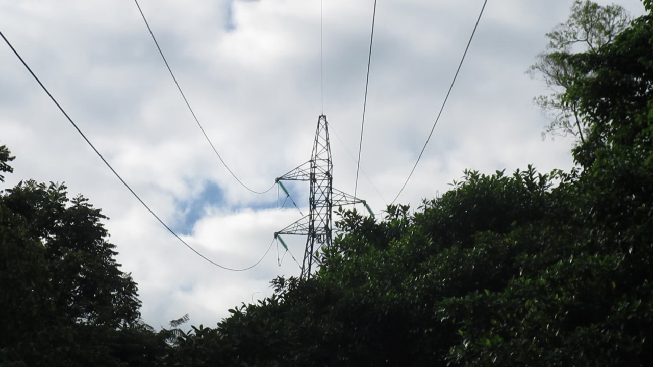 Mañana miércoles 7 de julio  Se realizarán podas de emergencia en línea Barbosa-Cimitarra 115 kV