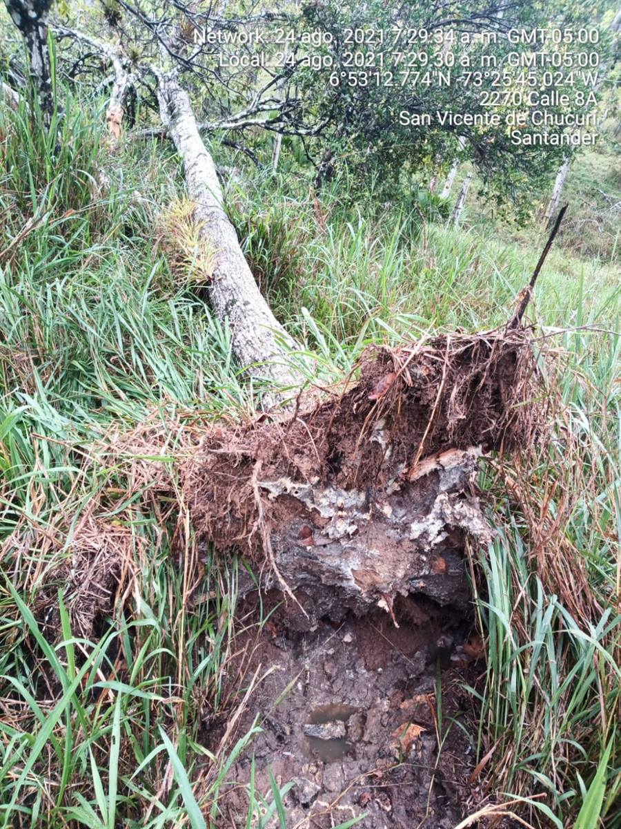 En San Vicente de Chucurí y Lebrija ESSA avanza en la reparación de daños ocasionados por invierno