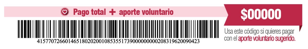 Pago aporte voluntario Imagen sección factura Pago aporte voluntario