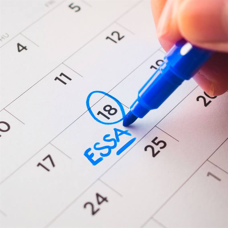 Calendario con fecha marcada: Agenda tu cita