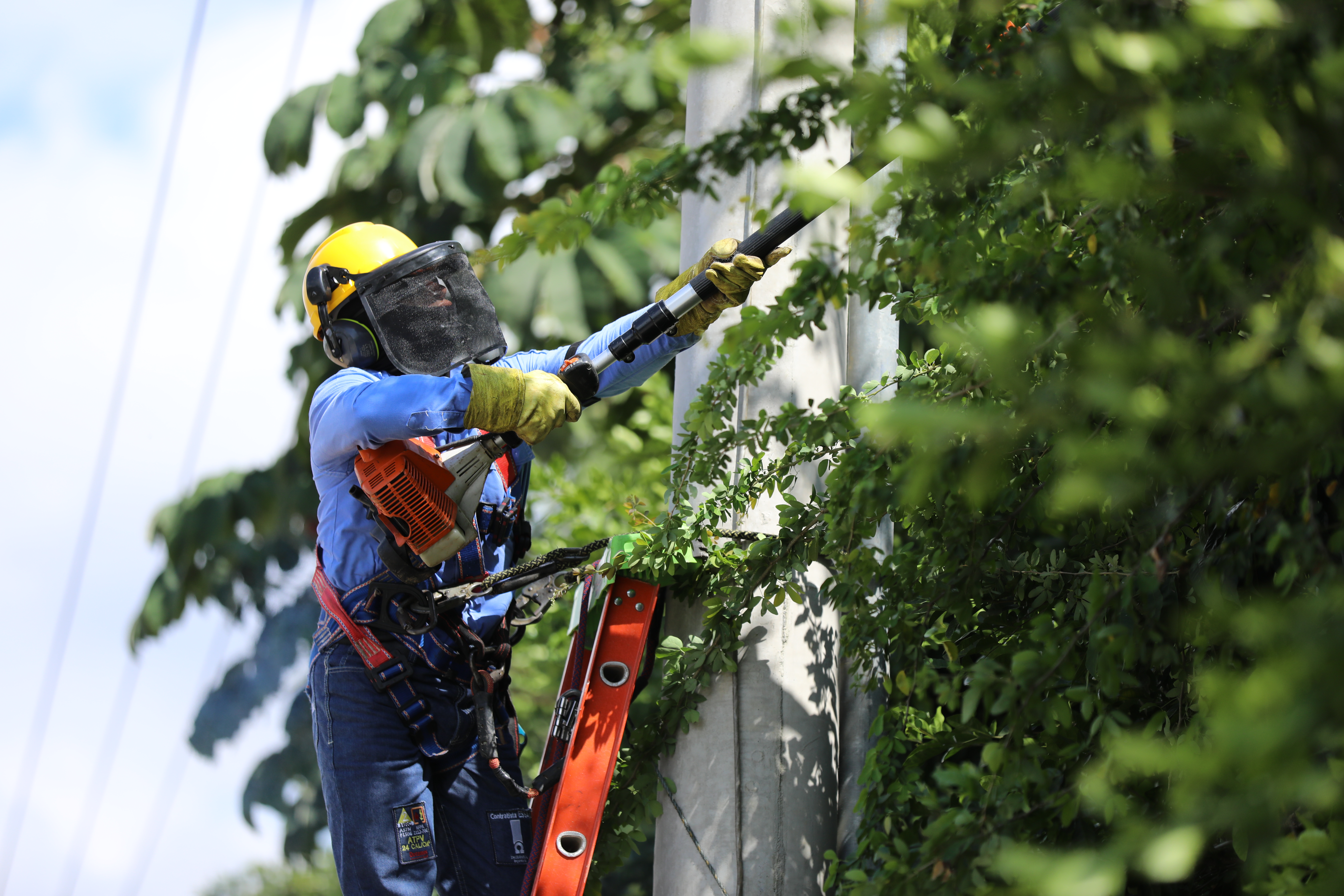 Contratista ESSA realizando una poda Contratista ESSA realizando una poda